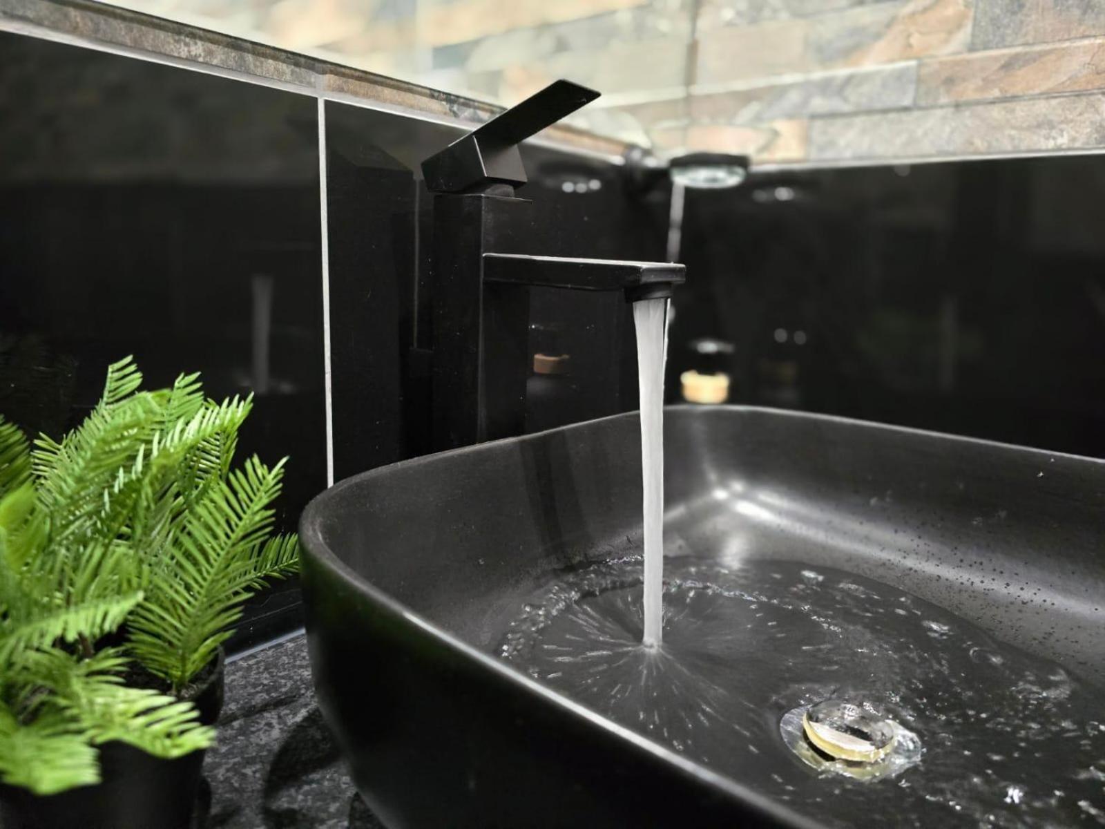 Palm Inn Guesthouse Onverwacht 外观 照片
